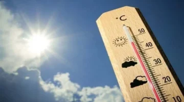 الأرصاد تحذر من شبورة كثيفة وارتفاع ملموس في درجات الحرارة بمصر السبت 25 أكتوبر 2025